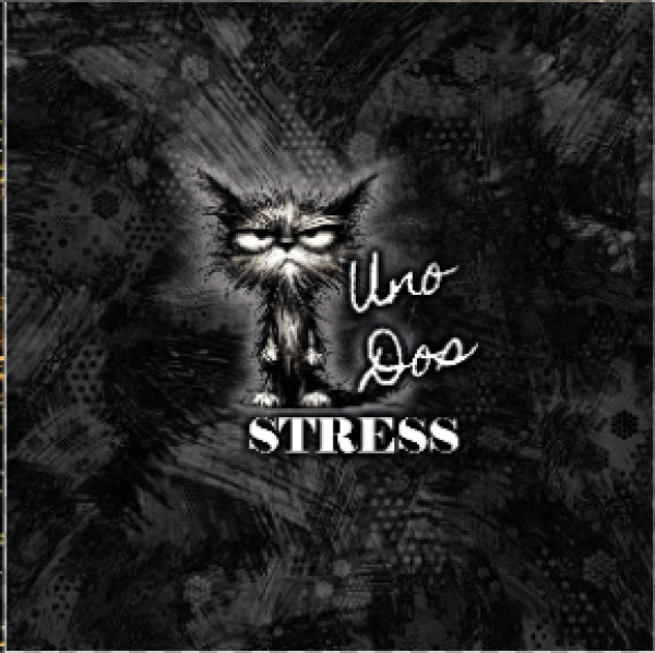 SET Uno Dos Stress - Kunstleder Taschenpanel